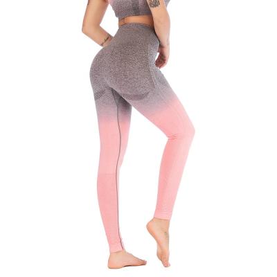 China Yiwu Seamless Snagging Resistance Gaiters Lift Up Pants Fashion High Waist Workout Jogging For Women Athleisure Training Gaiters for sale