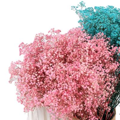 China Fashional Natural Wedding Home Decorative Flower Dried Preserved Babies Breath Exquisite Gypsophila paniculate for sale