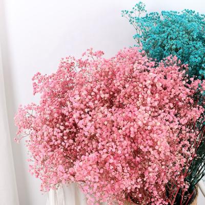 China Fashional Dried Artificial White Gypsophila Dried Baby's Breath Gypsophila Preserved Flower for sale