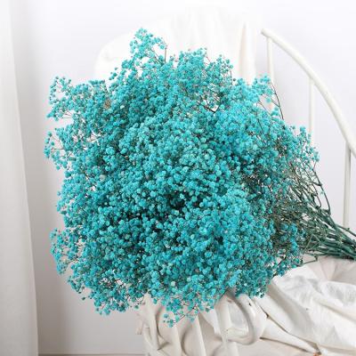 China Fashional Gypsophila Decorative Natural Dry Flower Babysbreath Flower As Christmas Decoration for sale