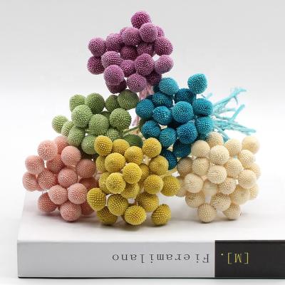 China Fashional Hot Selling Globosa Real Dried Flower Dried Billy Ball Button Craspedia For Home Wedding Decoration for sale