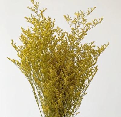 China Fashional Dried Lover Grass Dried Flower Natural Valentine Flower Lover's Yellow Limonium for sale