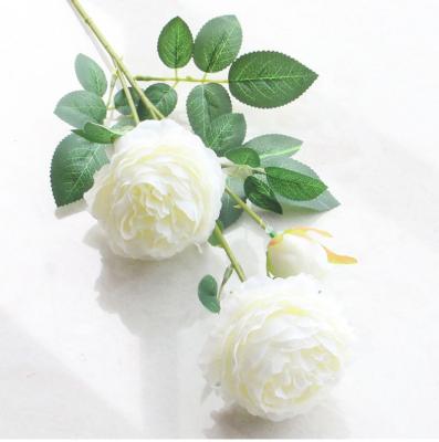 China Fashional Top Selling Wholesale Touch Real White Artificial Peony Silk Artificial Flowers For Wedding Decor for sale