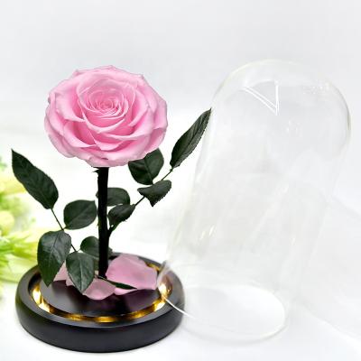 China Fashional factory wholesale price valentines day luxurious Rose Glass Dome Belle Enchanted red gifts preserved eternal roses in glass dome for sale