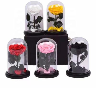 China Fashional Yunnan factory direct wholesale stabilized flower Rose in glass dome preserved roses flowers for sale