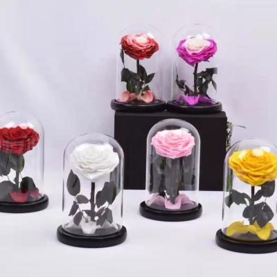 China Fashional Amazon Top Selling Eternal Rose in Glass Dome Valentine's Day Gift Design Preserved Glass Roses for sale