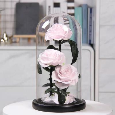 China Fashional Preserved Rose with Eternal Preserved Rose Flower Gift Box in Glass Dome for Valentine Day Gifts for sale