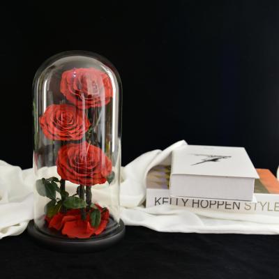 China Fashional 2021 Eternal Preserved Roses in Glass Dome for Wedding Party Valentine's Day Gifts for sale