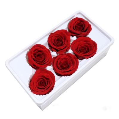 China Fashional Best Quality Wholesale Preserved Rose Box Eternal Everlasting Rose Flower Head of Roses 5-6 cm for sale