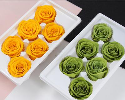 China Fashional Rose Head Wholesale Category A 5-6 cm Real Rose Bud Flower Roses Head Preserved Eternal Touched Natural for sale