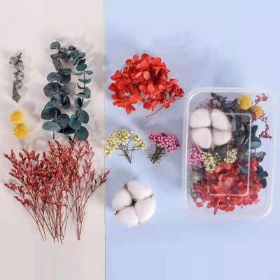 China Fashional high quality cheap resin preserved dry flowers for jewelry candle nail making for sale