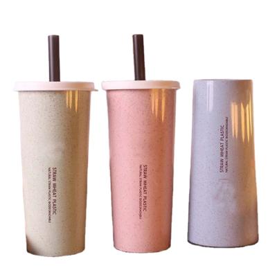 China Sustainable Professional Made Wholesale Durable In Use Biodegradable Reusable Water Bottle With Straw for sale