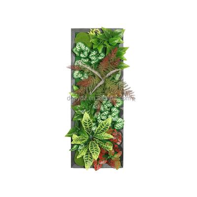 China Traditional Customize Rich Design Black Frame Simulation Artificial Green Decoration Wall Plants for sale