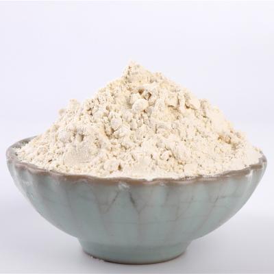 China Organic Porcelain Garlic Powder Dehydrated Dry Bulk Garlic Powder for sale