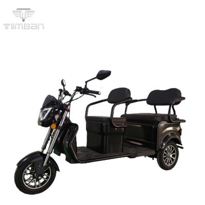 China 2021 Hot Selling Cheap Price Same Timba3002 6L Electric Tricycle for sale