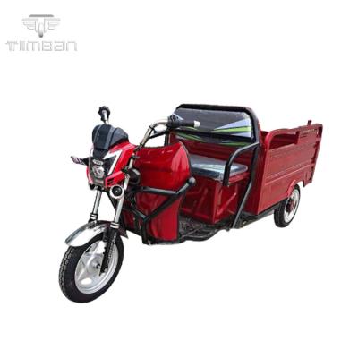 China 2021 Cheap Price Same Hot Selling Electric Tricycle Farmer 6L for sale