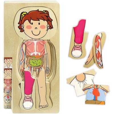 China Cartoon Toy Wooden My Body 3D Puzzle Montessori Educational Toys for Toddlers and Children - 29 Piece Girls Anatomy Playset Puzzle Gift for sale