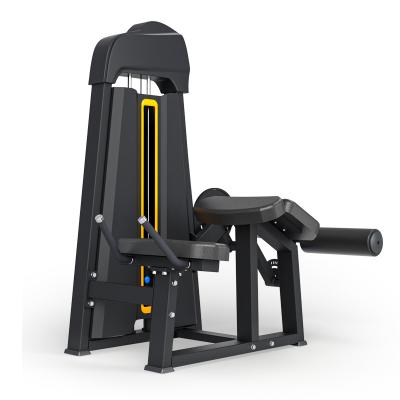 China Universal Hot Selling High Quality Gym Equipment Prone Leg Curl Machine for sale