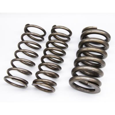 China Spiral Custom Compression Spring for Chemical Valves, Vacuum Furnace Welding Furnace, Door Hinge and Medical Trachea for sale