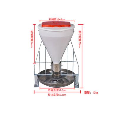 China Best Selling Automatic Plastic Farms Product Hog Feeder Nursery Feeder for sale