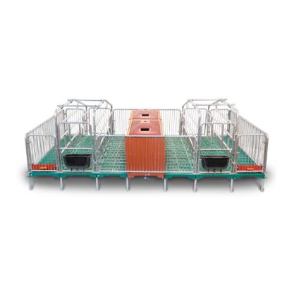 China New Easy Management Animal Farm Equipment Pig Delivery Bed Farrowing Crates For Pigs for sale