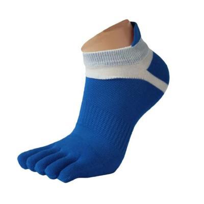 China Sporty Custom Design Socks Men Mesh Running Five Finger Toe Socks Bike Bicycle Socks Cycling Sports for sale