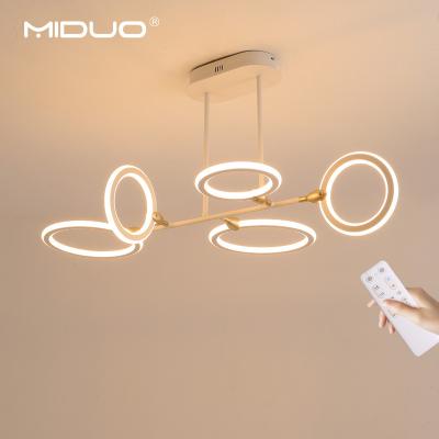 China Factory Direct Sale Outdoor Mounted Decorative Led Pendant Light Pendant Led Living Room Fancy Light Indoor Light for sale