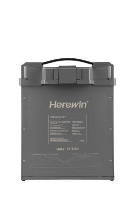 China Hohe Sicherheit und Leistung hierin Semi Solid State Battery 14S 51.8V 30000mAh mit Molex zu verkaufen