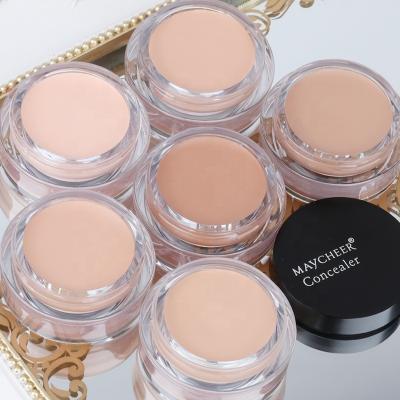 China 2020 Maycheer Wholesale Fashion Top Concealer Waterproof Whitening 6 Colors for sale