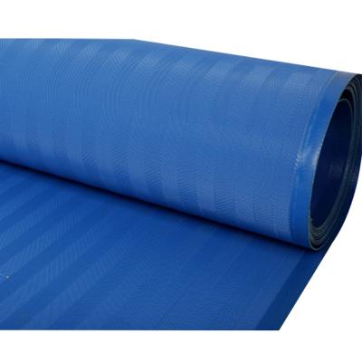 China High Efficiency Blue Juice Extrusion PET Polyester Sewage Treatment Filter Net Pressing Belt for sale