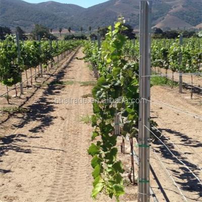 China Easily Assembled Hot Dipped Galvanized Vineyard Grape Stake Metal Vineyards Trellis Post for sale