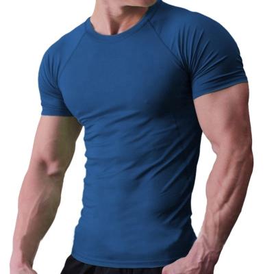 China High End Custom Muscle Fit Mens Muscle Fit Gym T-shirt 95 Cotton 5 Cotton 5 Spandex for sale