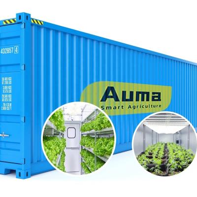 China High Level Easy To Grow Growing Container Insulation Shipping Container Hydroponic Vertical Growing System for sale