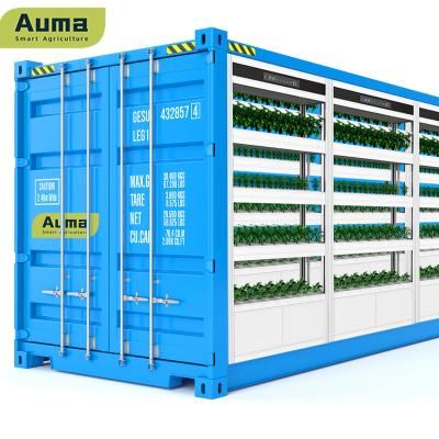 China Easy to Grow Hydroponic Special Medical Cultivation Container Plant Fully Automated Control System Container Farm for sale