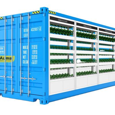 China Easy To Grow Container Fodder Vegetable Drug Hydroponic Planting Equipment for sale