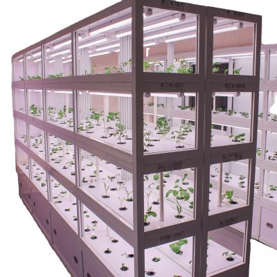 China Easy to Grow Artificial Hydroponic LED Light Organic Plant Grow Vertical Hydroponics System for sale