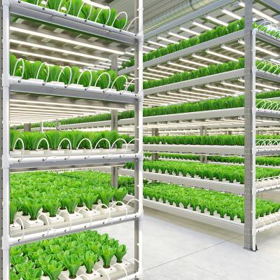 China Easy to Grow Easy-to-grow Indoor Hydroponic Vertical Farm with Hydroponic Growing System for sale