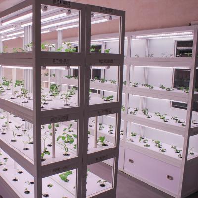 China Easy To Grow Height Quality Smart Farms Vertical Hydroponic Farm With Hydroponics Control System for sale