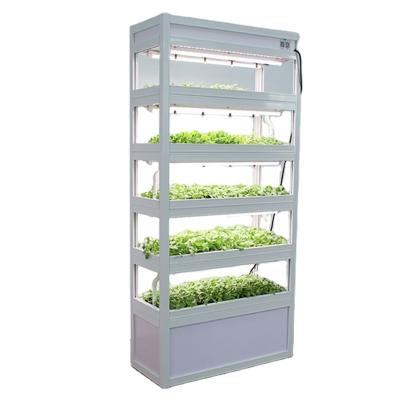 China Easy To Raise Garden For Growing Indoor Seedling Raising Machine Professional Smart Farm Led Hydroponic Systems for sale