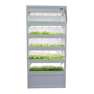 China Easy To Grow Microgreens Hydroponic Growing Seedling Raising Machine In Indoor for sale