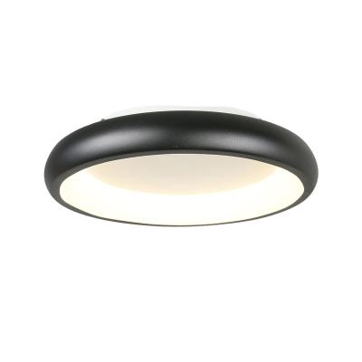 China Surface mounted 2021 hot sales new ERP stanard 600MM diameter led ceiling lamp for dining room for sale