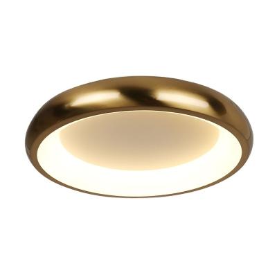 China Surface mounted 2021 hot sales new stanard 600MM GB diameter ERP color led ceiling lamp for dining room for sale