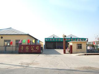 Verified China supplier - Jinxiang Luteng Trading Co., Ltd.