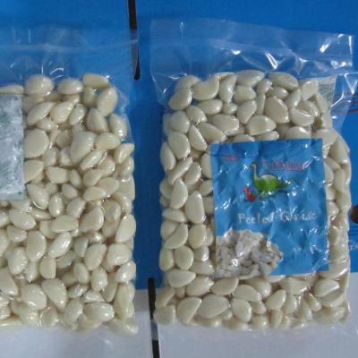 China Fresh Fesh Peeled Garlic Clove Vegetables Supply From Professional Garlic Peeled Manufacturer In China for sale