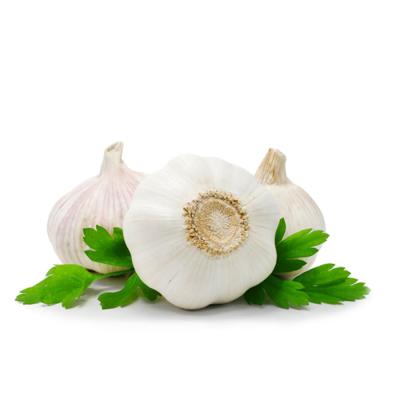 China Fresh Chinese Fresh Purple Garlic Exporting With Cheap Price To Paraguay for sale