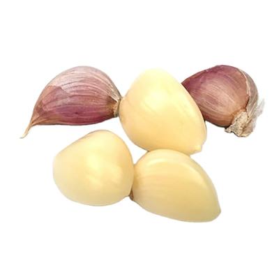 China 5lbs bottled fresh 3lbs 1lb peeled garlic cloves in jars for sale