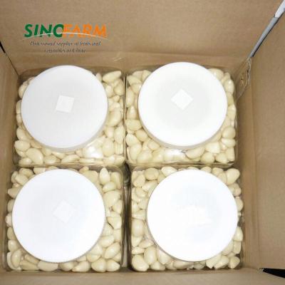 China Vacuum Pack Fresh Peeled Garlic Garlic Cloves For Australia With Cheap Price for sale