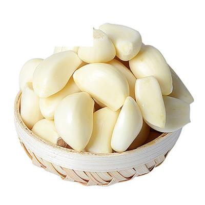 China Fresh nitrogen packed peeled garlic in jar with competitive price for sale