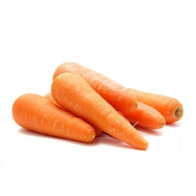 China 2021 New Cultured High Prices Chinese Fresh Washed Vitamin Carrot Best 150g -250g In 10kg Carton for sale