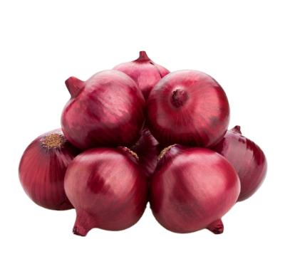 China Fresh Chinese Fresh Onion Red Color Packing 10kg Mesh Bag For Sale for sale